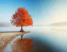 网‍站​模﻿板‍哪‌个﻿好‍看‌